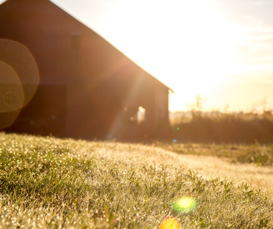 Spring 2023 Market&nbsp;Updates